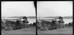 Otago Harbour from hillside paddock, including Port Chalmers