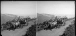 Unidentified women in horse drawn carriage, including coast in background [Otago Peninsula?]