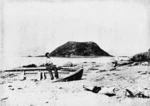 Beach scene on Kapiti Island