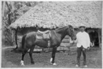 Photograph of Bazett Haggard's pony Rebecca held by Micky Scanlon.