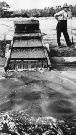 Man operating gold-saving tables at Nine Mile beach