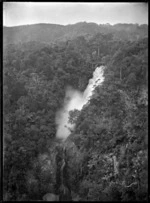 The Glen Esk Dam being tripped amongst native bush near Piha