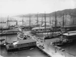 Burton Brothers (Dunedin), 1868-1898 :Overlooking Queens Wharf in Wellington
