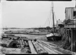 Auckland Harbour waterfront, with kauri logs