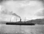 Aldersley, David James, 1862-1928 :Steamship RMS Ionic, Wellington Harbour