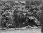 Whangaroa Harbour