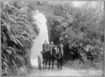 Buller Gorge, West Coast - Photograph taken by Cullum and Company