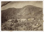 Hoisting the flag, Bell family settlement, Sunday Island, Kermadec Islands