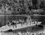 Tyree Brothers: Horses and a carriage on a ferry on the Buller River, near Westport