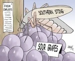 Stadium complaints. Southern Sting. Sour grapes. 5 July, 2006.