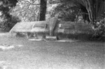 Hall family grave, plot 6.F, Sydney Street Cemetery, Wellington