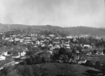 Overlooking Nelson with the Botanic Garden in the foreground