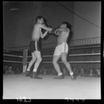 Boxers Barry Brown versus Tuna Scanlon fighting at the Lower Hutt Town Hall