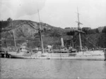 Ship Amokura at Port Chalmers
