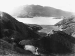 Mount Tarawera, Lake Rotomahana and craters of the Waimangu Valley