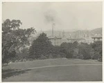 View looking north east across Government House garden, Wellington