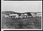 Mount Herbert farm, Waipukurau