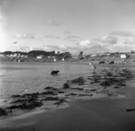 Titahi Bay beach