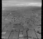 Hauraki Plains, Thames, Waikato