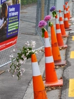 Feb 2011_CHCH_Decorated-Cones_P1050795.JPG