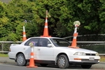 Feb 2011_CHCH_Decorated-Cones_ROSS1237.JPG