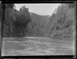 View off a boat on the Whanganui River with steep plant covered river banks and forest beyond