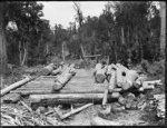 Timber workers, Northland