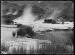 Thermal area, Tokaanu, Taupo district