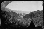 Honeyman's Gully, Thorndon, Wellington