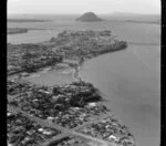 Tauranga