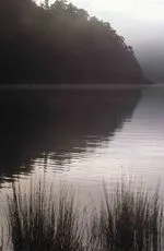 711.11 Mist at Marauiti Bay, Lake Waikaremoana, Te Urewera N.jpg