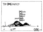 The Dog Particle001.jpg