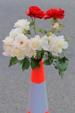 Feb 2011_CHCH_Decorated-Cones_ROSS1236.JPG