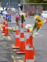 Feb 2011_CHCH_Decorated-Cones_P1050810.JPG