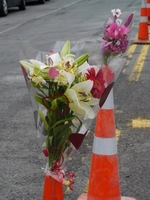 Feb 2011_CHCH_Decorated-Cones_P1050811.JPG