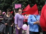 Government Wage freeze Protest Parliament Wellington November 2009 (4).JPG