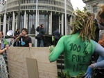 Keep New Zealand Pure Protest Parliament Wellington October 2009 (23).JPG