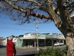 Street Art Knitting Wellington September 2009.JPG