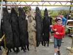 Rimutaka Pig Hunting Competition Upper Hutt Oct 2011 (9).JPG