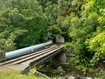 Train tunnel through Orongorongos Wainui Water Catchment December 2012 (1).tif