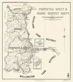 Piopiotea West & Rangi Survey Dists. Copy 2
