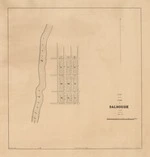 Plan of the town of Dalhousie. Copy 1