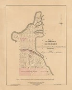 Plan of the township of Blueskin. Copy 1