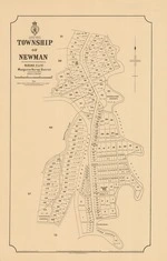Township of Newman. Copy 1