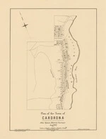 Plan of the town of Cardrona. Copy 1