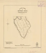 Plan of the town of Dipton-Bush. Copy 1