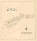 Plan of the township of Macraes. Copy 1