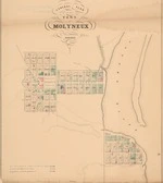 General plan of the town of Molyneux. Copy 1
