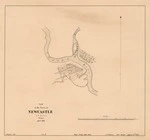 Plan of the town of Newcastle. Copy 1