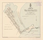 Town of Waikouaiti. Copy 1